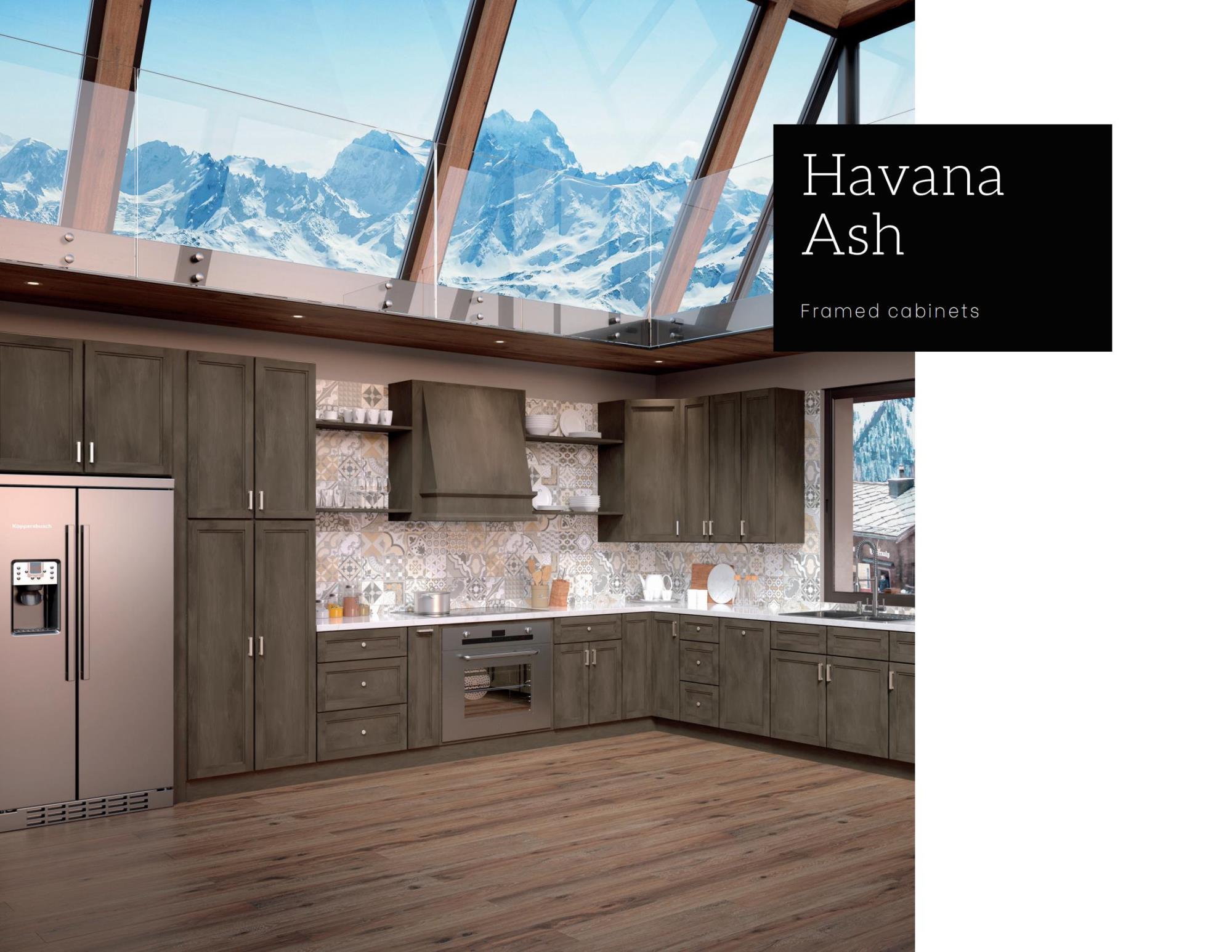 Havana Ash_00.jpg